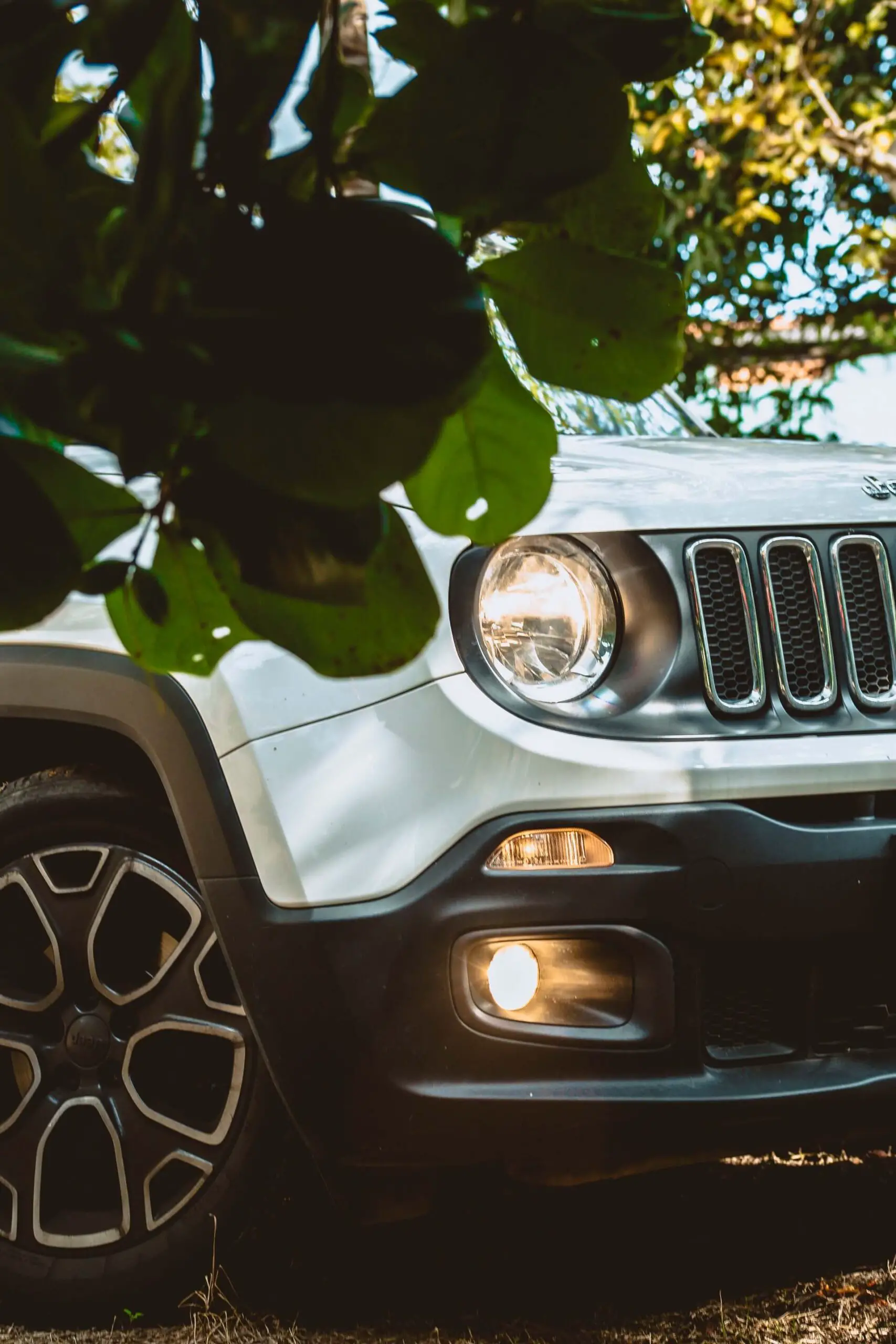 Read more about the article Towing with Jeep Renegade | Ultimate Guide with Towing Capacities